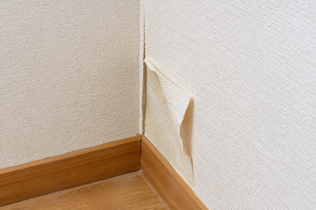 壁紙の端がめくれているときは、無理に引っ張らず、状態を確認することが大切です。